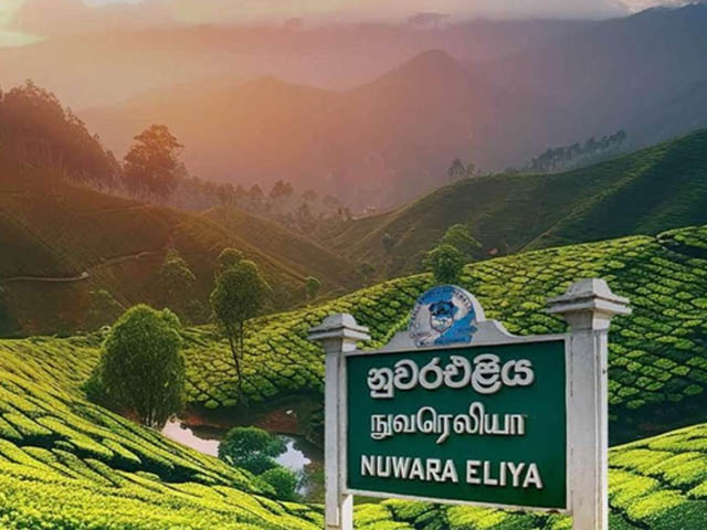 Nuwara Eliya 001