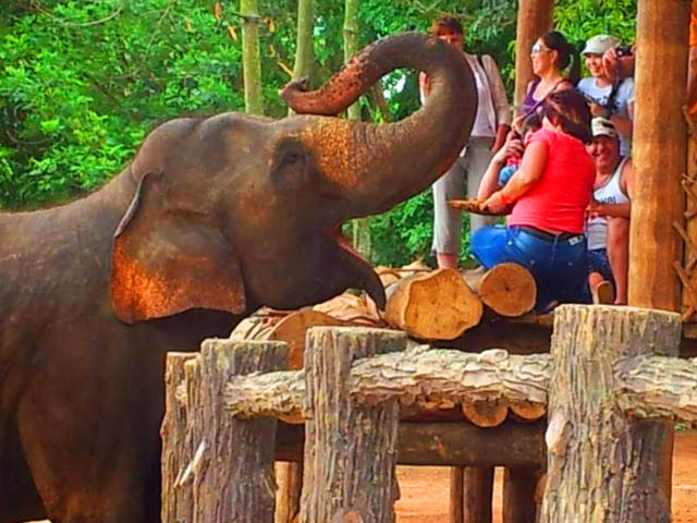 Sigiriya 007